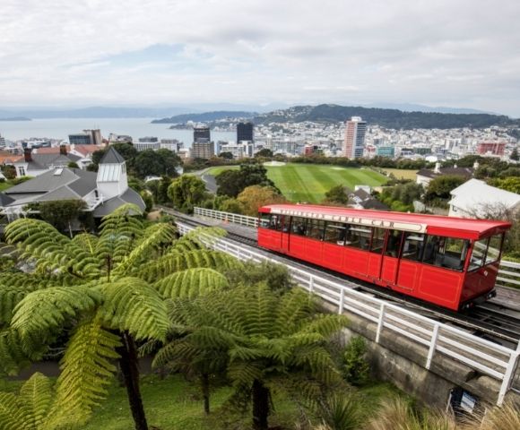 Southern Splendour | Auckland to Sydney - Gallery Image