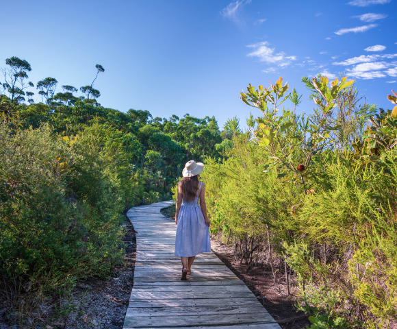 Kingfisher Bay Resort - Gallery Image