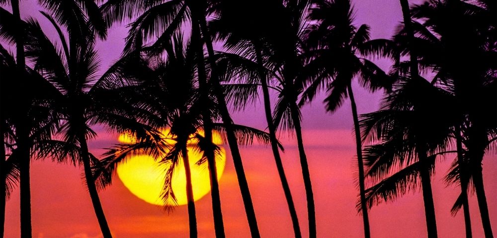 South Pacific to Hawaiian Dreams | Sydney to Seattle Image 3