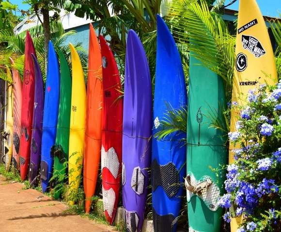 Hawaiian Islands Paradise Escape in 2026 - Gallery Image