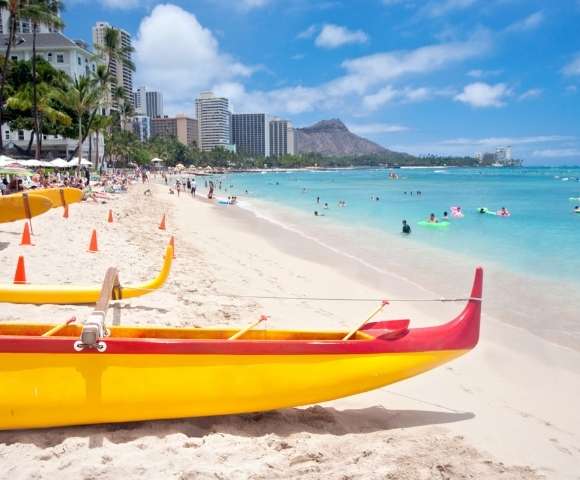 Auckland City Lights & Pacific Majesty - Gallery Image