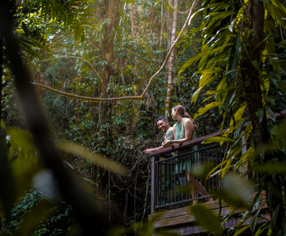 Daintree Ecolodge Image 4