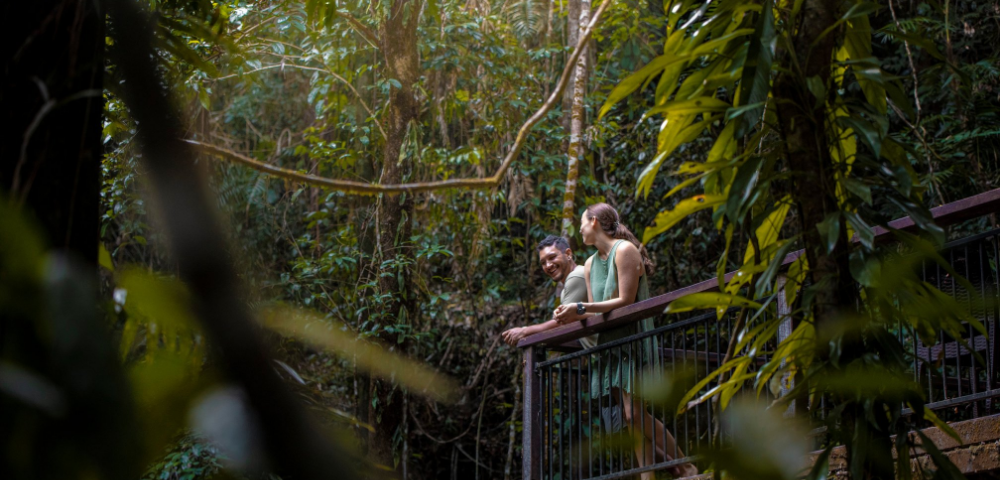 Daintree Ecolodge Image 4
