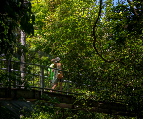 Daintree Ecolodge Image 1