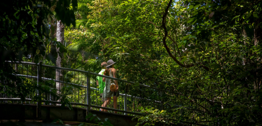 Daintree Ecolodge Image 1