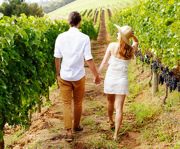 California Vineyards & Panama Canal Exploration - Hero Image
