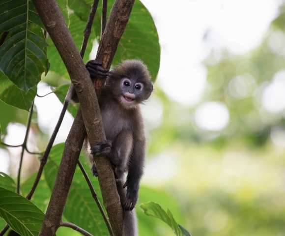 India, Sri Lanka, Maldives & Beyond Exploration - Gallery Image
