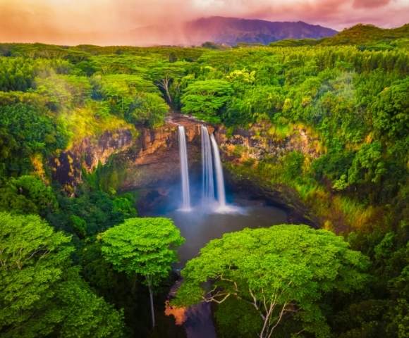 Hawaiian Islands Paradise Escape in 2026 - Gallery Image