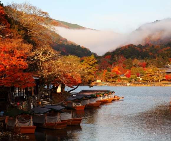 Autumn Colours of Japan - Gallery Image