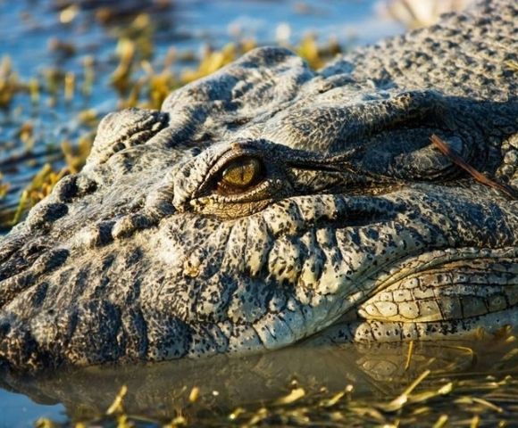 Unrivalled Luxury – Top End to Tropics Adventure Darwin to Sydney - Gallery Image