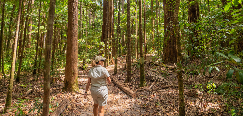 Unrivalled Luxury – Top End to Tropics Adventure - Gallery Image