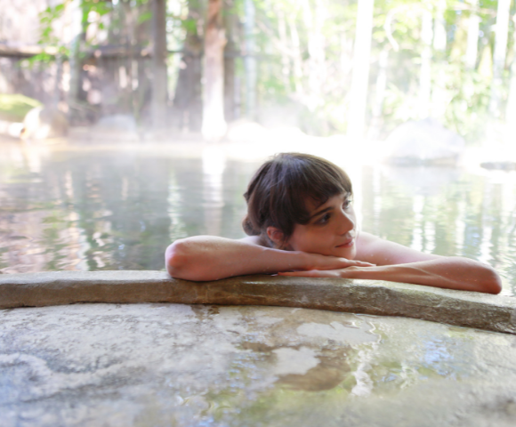 Discover Japan in Bloom 2028 - Gallery Image