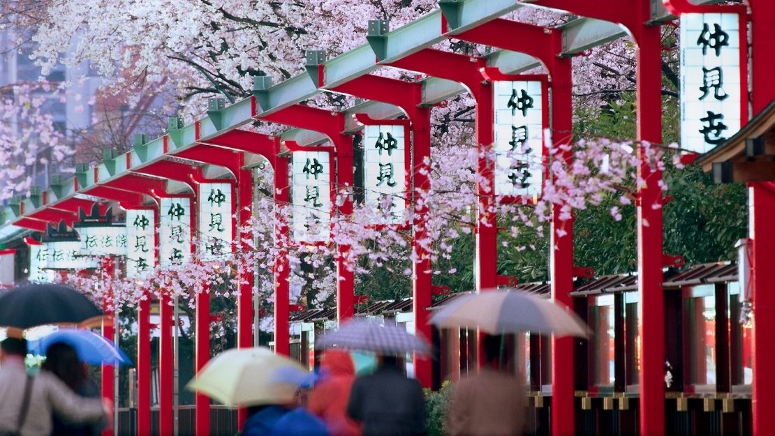 Print Stylesheet Image