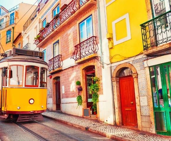 Canary Island Winter Escape - Gallery Image