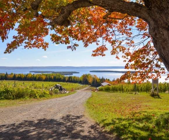 Fall Colours of New York, Canada & New England 2026 Image 2