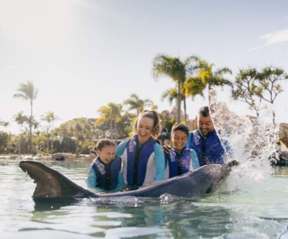 Sea World Resort - Gallery Image