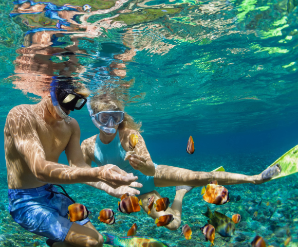 Tropical Maui & Oahu Escape - Gallery Image