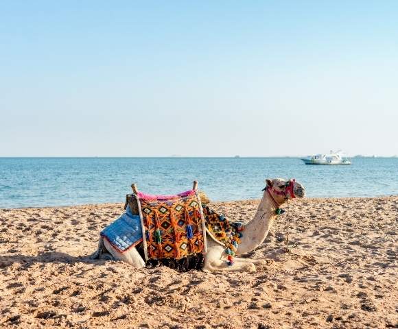 Ancient Wonders of Egypt, The Nile River & Greece Image 4