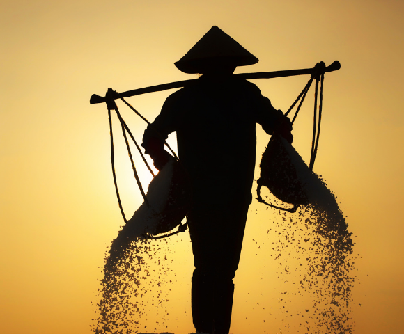 Explore the Best of Vietnam - Gallery Image