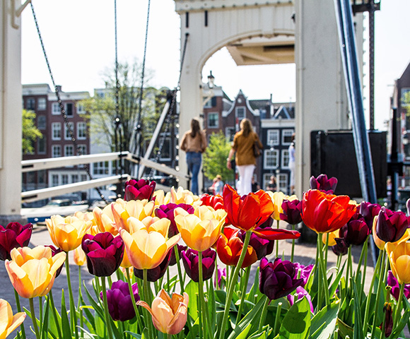 Northern Cruise Break - Gallery Image