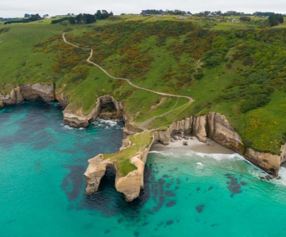 New Zealand Discovery from Sydney | Anthem of the Seas - Gallery Image