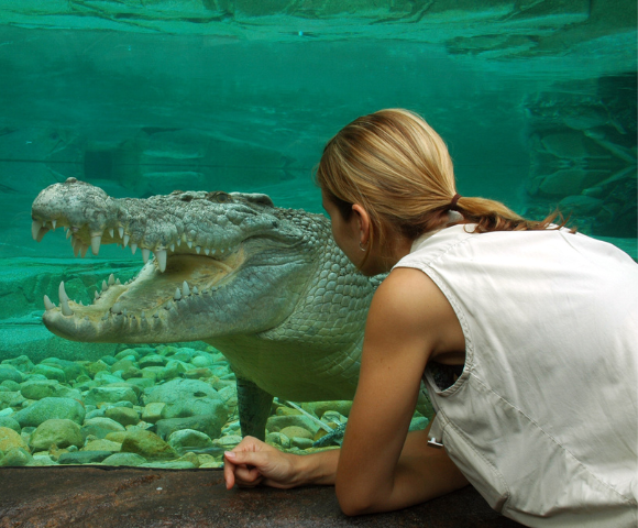 Queensland Escape: Gold Coast & Whitsundays - Gallery Image