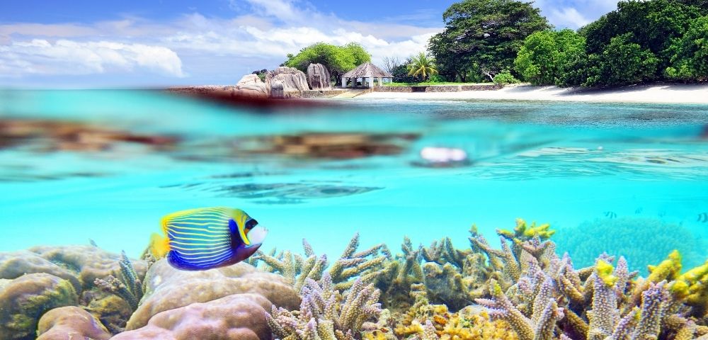 Indian Ocean Paradise & South African Delights - Gallery Image