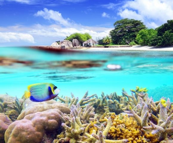 Indian Ocean Paradise & South African Delights - Gallery Image