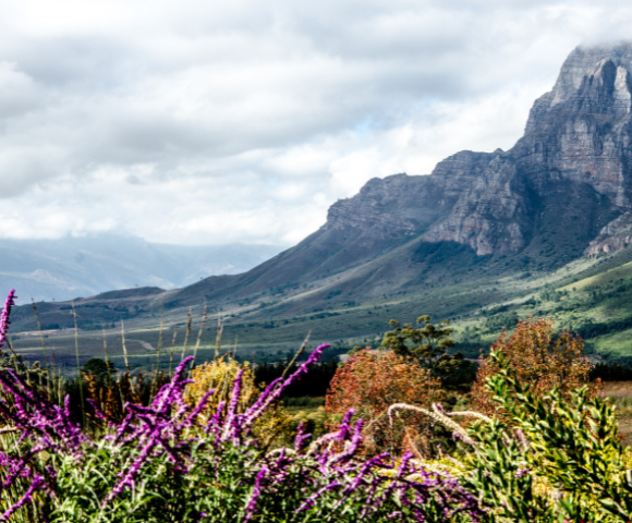 London to Cape Town – Victoria Falls and Chobe Safari Exploration - Gallery Image