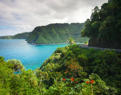 Coastal road winding along a lush green cliffside overlooking the blue sea.