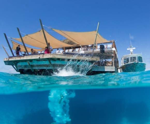 my-fiji-diving-into-water-at-cloud-9-fiji