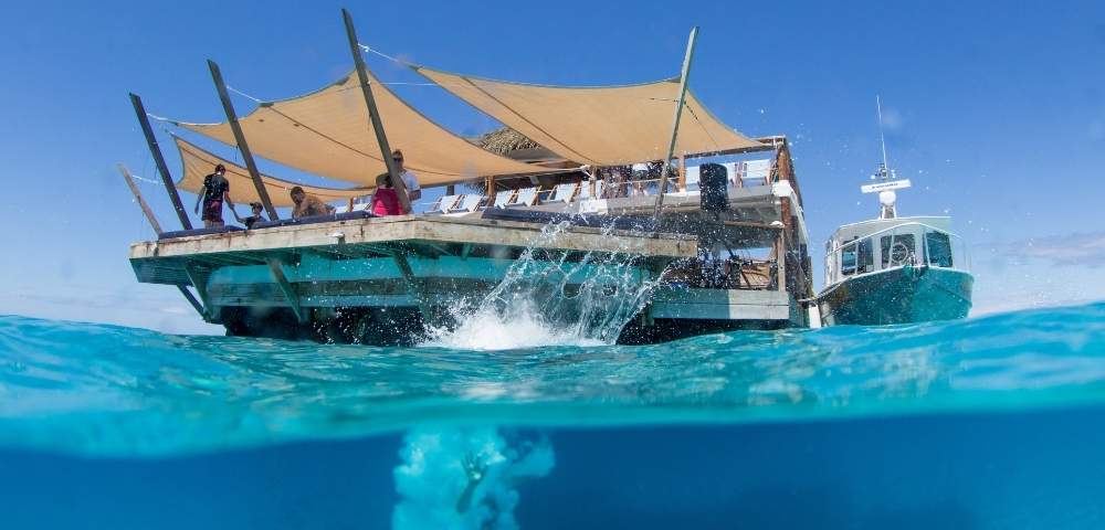 my-fiji-diving-into-water-at-cloud-9-fiji