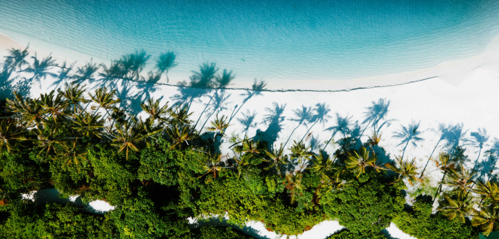 Discover Sri Lanka and Maldives Image 4