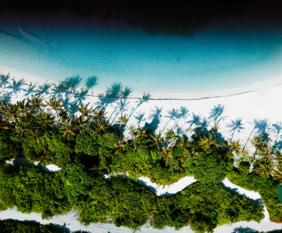 Discover Sri Lanka and Maldives Image 4