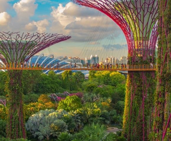 Tropical Sunsets | Singapore, Lombok & the Great Barrier Reef NZ - Gallery Image