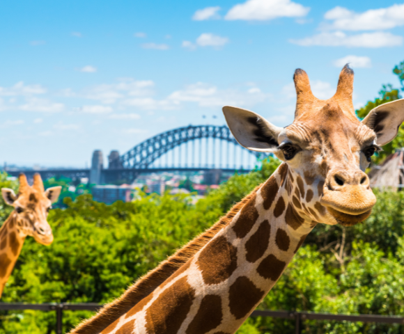 Luxury Queensland Coastal Escape - Gallery Image