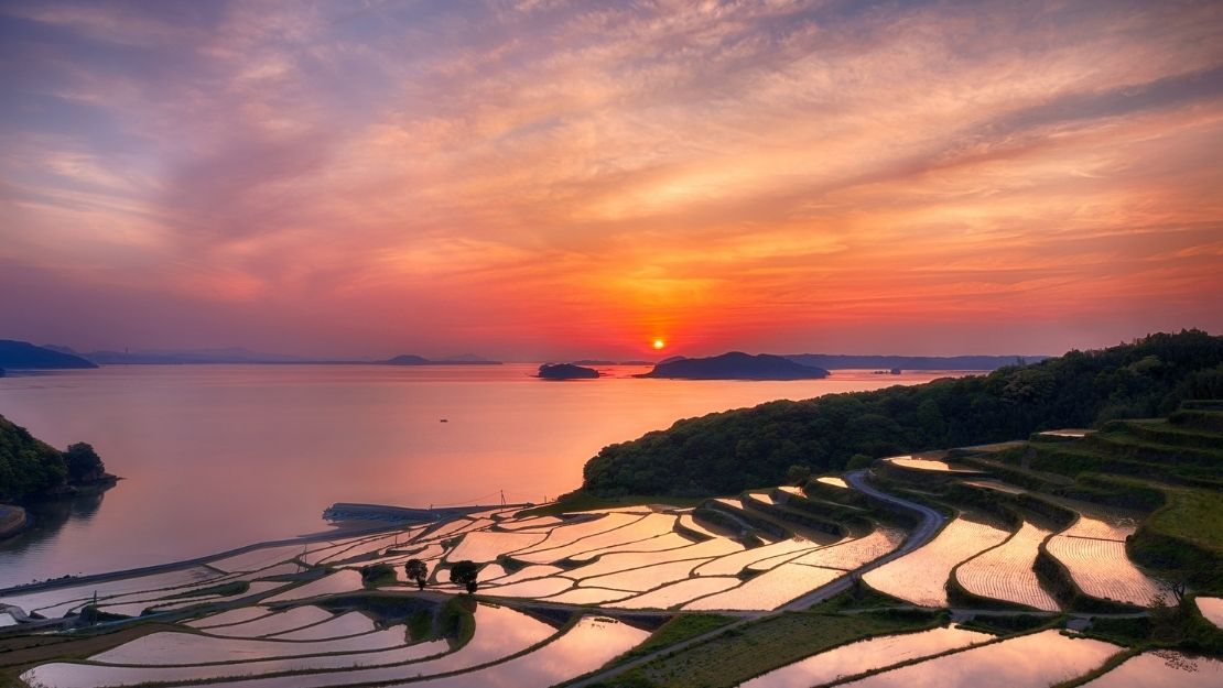 Print Stylesheet Image