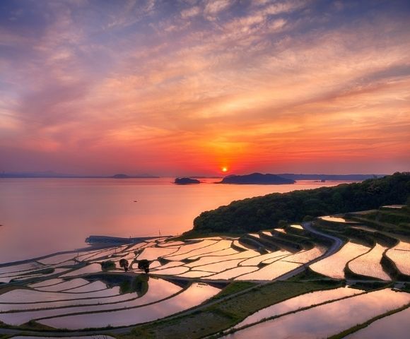 Land of the Rising Sun Main Image