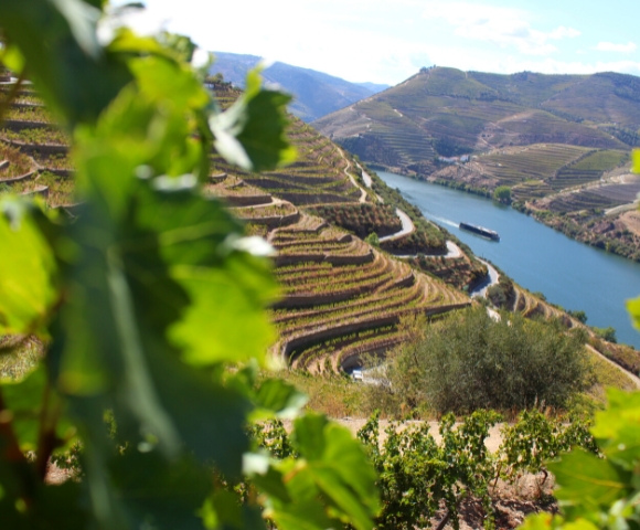 22 Day Mediterannean Majesty & Enticing Duoro | Istanbul to Porto - Gallery Image