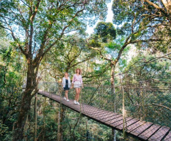 Novotel Surfers Paradise - Gallery Image