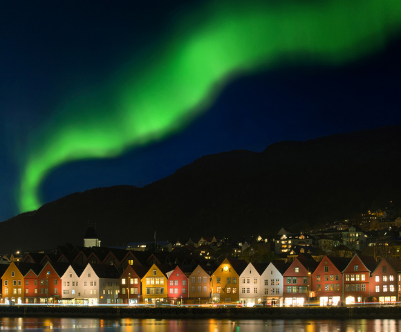 Norwegian Fjords - Gallery Image