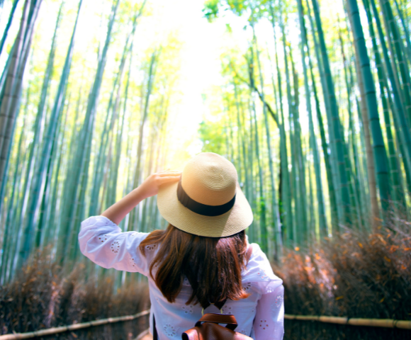 16 Day Best of Japan Small Group Tour Image 2