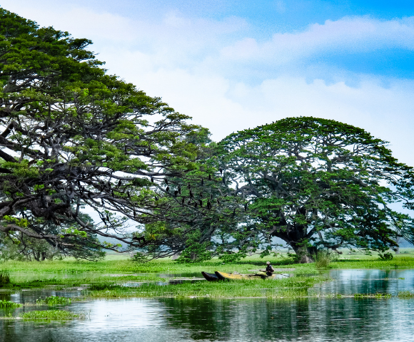 Dubai to Singapore | Eastern Horizons Exploration - Gallery Image