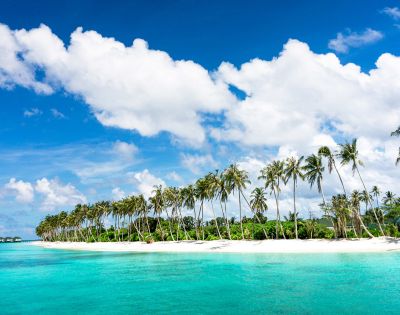 MY-HOLIDAY-Beach-Ocean-and-Palm-Trees-at-Siyam-World-Resort-in-Maldives