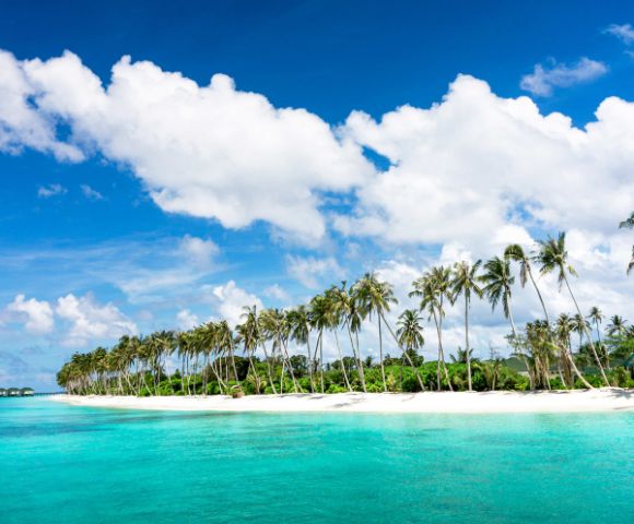 MY-HOLIDAY-Beach-Ocean-and-Palm-Trees-at-Siyam-World-Resort-in-Maldives