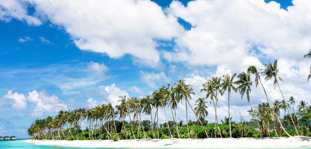 MY-HOLIDAY-Beach-Ocean-and-Palm-Trees-at-Siyam-World-Resort-in-Maldives