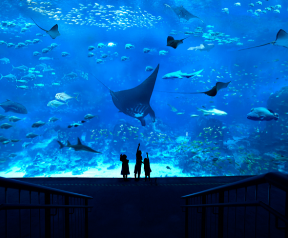 Orchard Hotel Singapore - Gallery Image