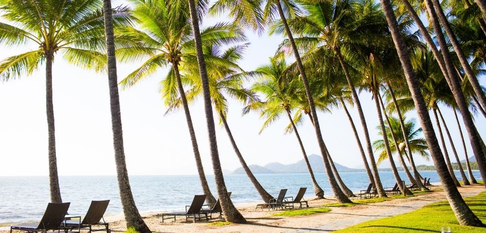 MYQUEENSLAND-alamanda-palm-cove-by-lancemore-SUN-CHAIRS-FACING-OCEAN