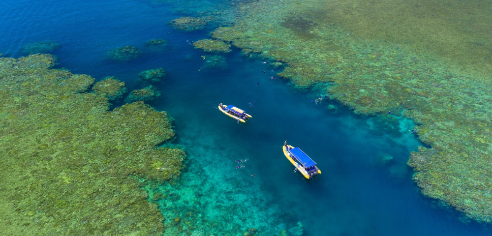 at Marina Shores Image 3