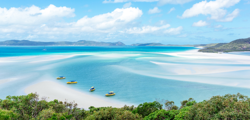 at Marina Shores - Gallery Image